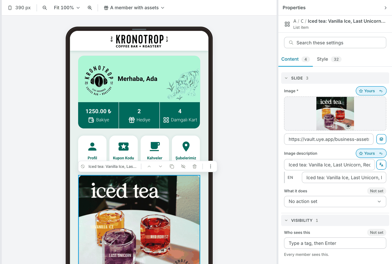 One slide open: its picture with the link box and the button to choose a file, the Image description, What it does, and Visibility
